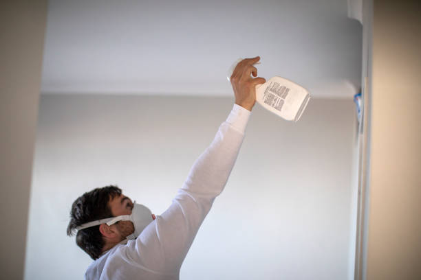 Best Residential Mold Removal  in Winnie, TX