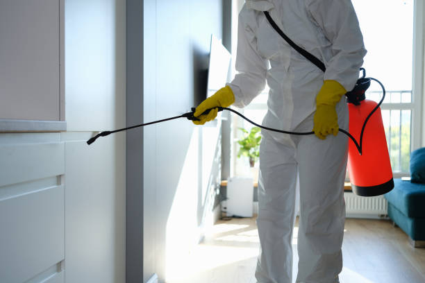 Best Mold Cleaning Services  in Winnie, TX