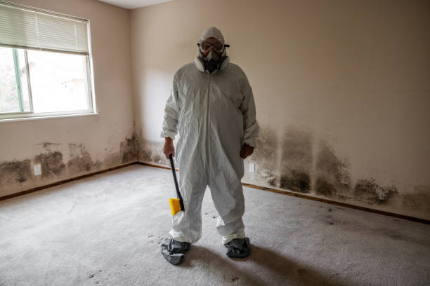 Best Toxic Mold Removal  in Winnie, TX