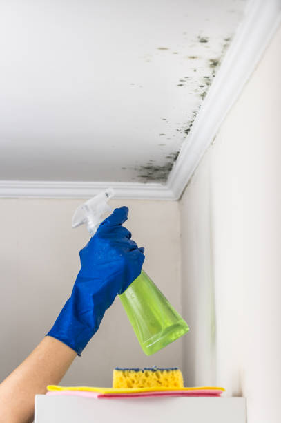 Best Mold Testing  in Winnie, TX